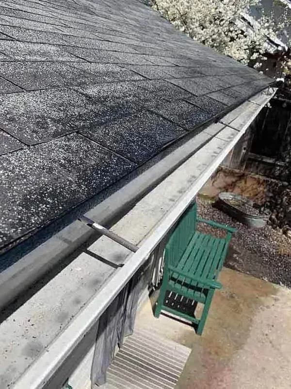 Roof gutter packed with leaf debris before cleaning