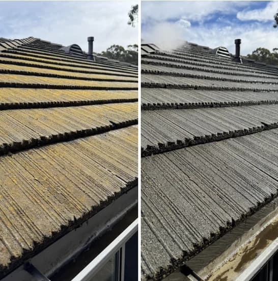 Side by side of a tile roof heavy with moss and lichen, and the same roof cleaned